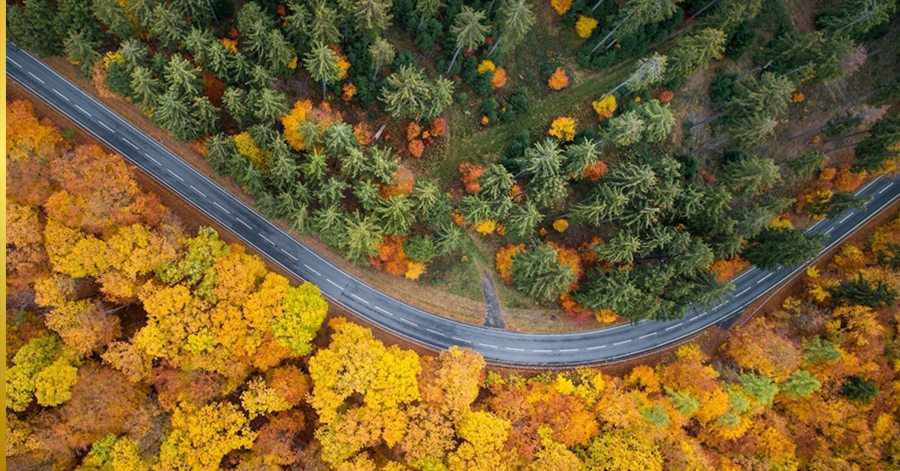 Bird's eye view of road and autumn forest