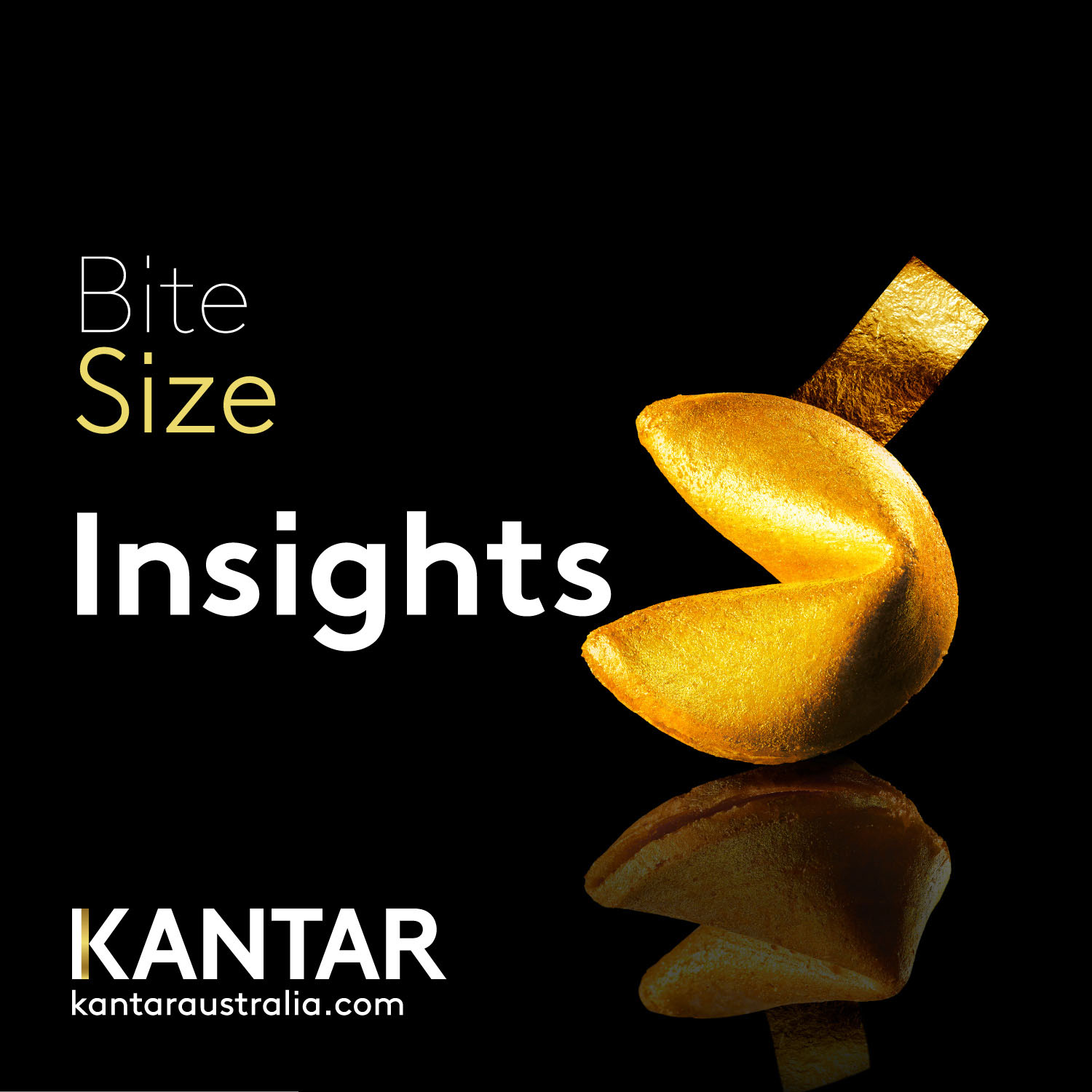 Bite Size Insights 